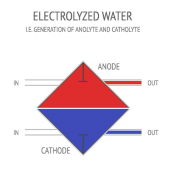 Electrolyzed Water